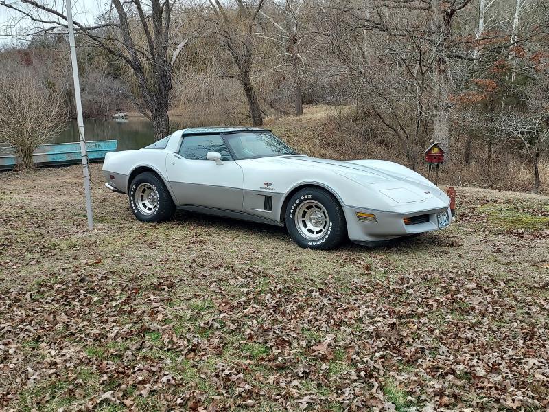 White over silver  1982 Corvette Coupe id:90964