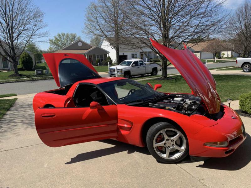 Torch Red 2004 Corvette Coupe id:89574