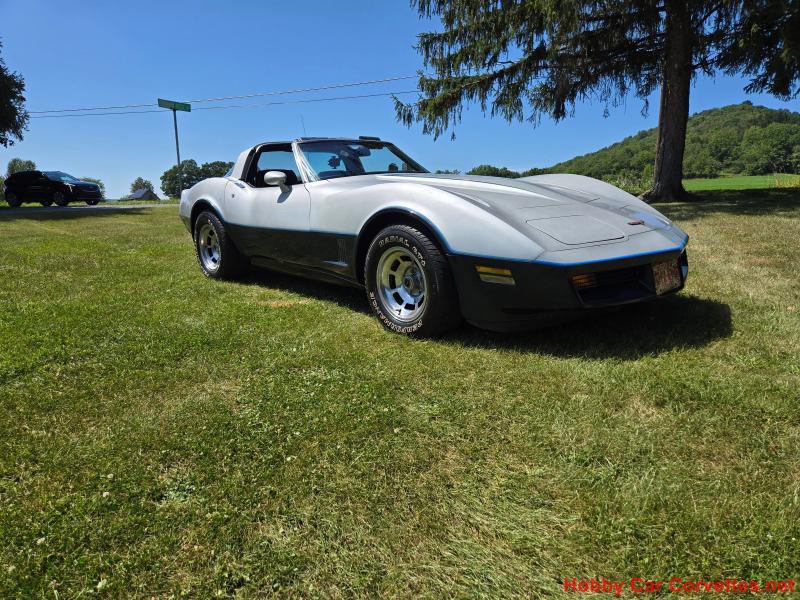 1981 Blue Chevy Corvette T-Top