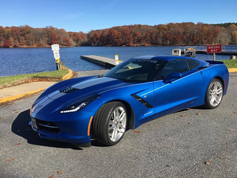 Laguna Blue Corvette